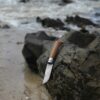 OPINEL N°8 NOYER