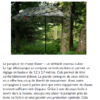 Parapluie Blaser Hun Tec