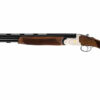 FUSIL BETTINSOLI PRIMIS canon 70cm 12/76 (3'')