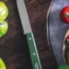 Opinel Cranté KAKI N113